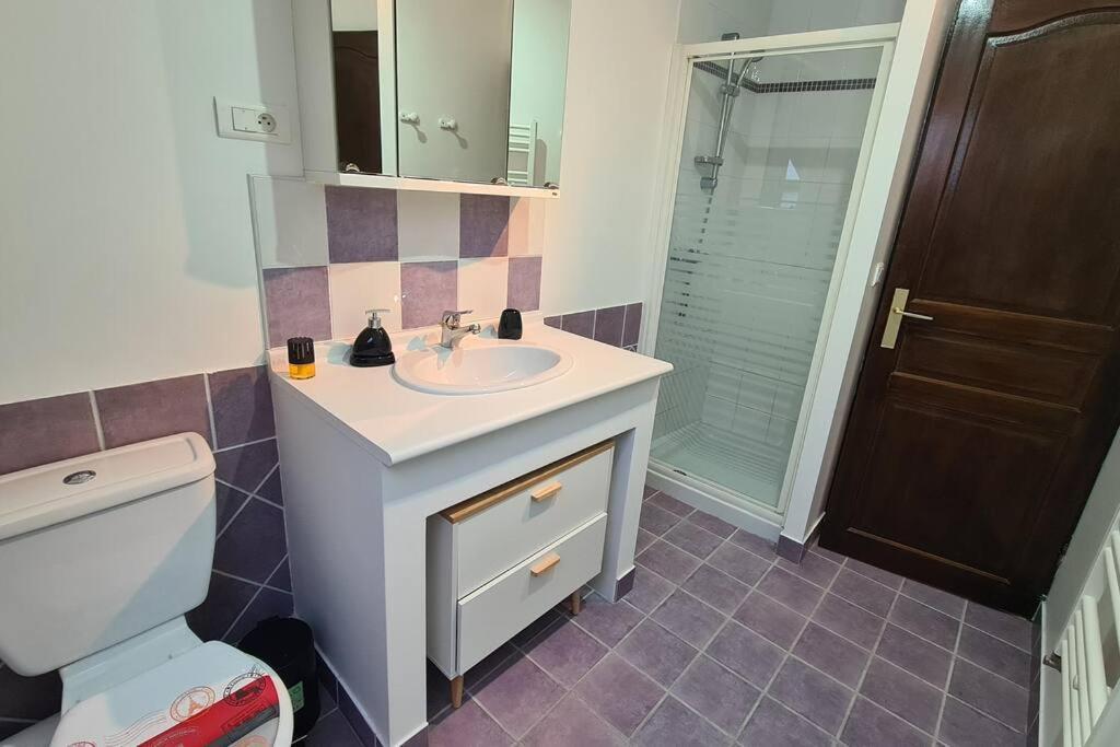 Ferienwohnung Duplex De Prestige Troyes Exterior foto